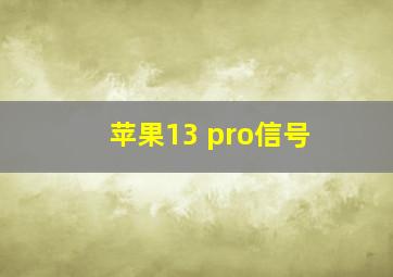 苹果13 pro信号